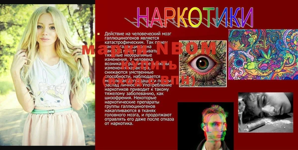 сатива Арсеньев