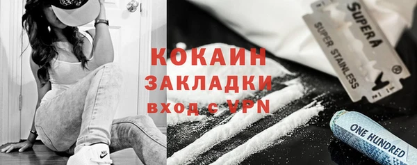 сатива Арсеньев